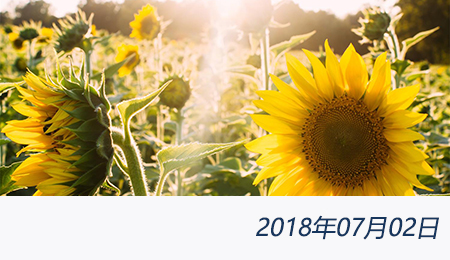 众赢国际(中国)官方网站