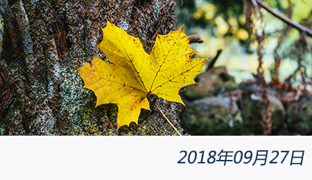 众赢国际(中国)官方网站