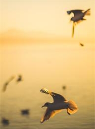 众赢国际(中国)官方网站