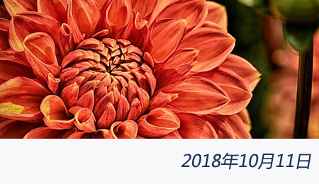 众赢国际(中国)官方网站