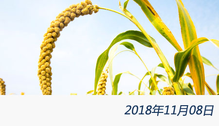 众赢国际(中国)官方网站