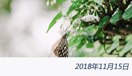 众赢国际(中国)官方网站