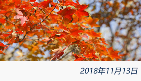 众赢国际(中国)官方网站