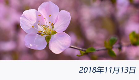 众赢国际(中国)官方网站