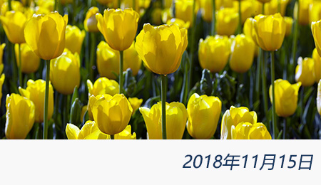 众赢国际(中国)官方网站