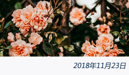 众赢国际(中国)官方网站