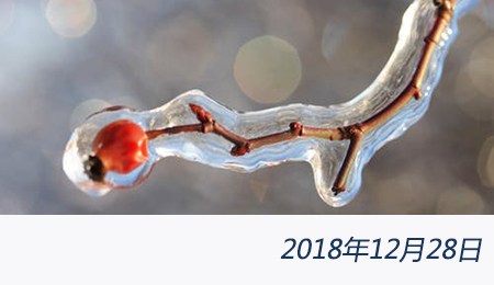 众赢国际(中国)官方网站