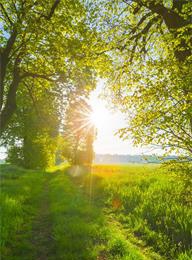 众赢国际(中国)官方网站