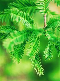 众赢国际(中国)官方网站