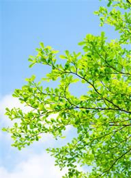 众赢国际(中国)官方网站