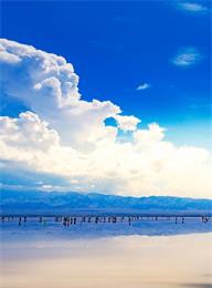 众赢国际(中国)官方网站